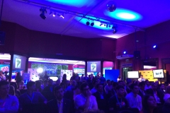 o_19bn17vsc1tm617c4mlo1lp921r15