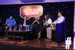 Panel Directivos de TV Nacionales